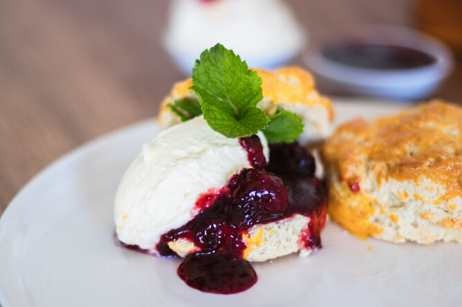 Neighbourhood Kitchen Tauranga Devonshire tea